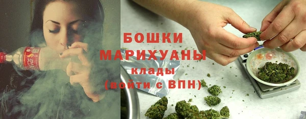 герыч Мегион