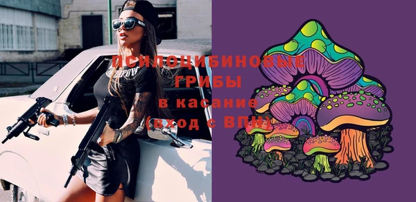 ПСИЛОЦИБИНОВЫЕ ГРИБЫ Михайловск