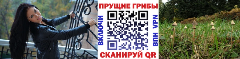 мега рабочий сайт  shop какой сайт  Галлюциногенные грибы прущие грибы  Иноземцево 